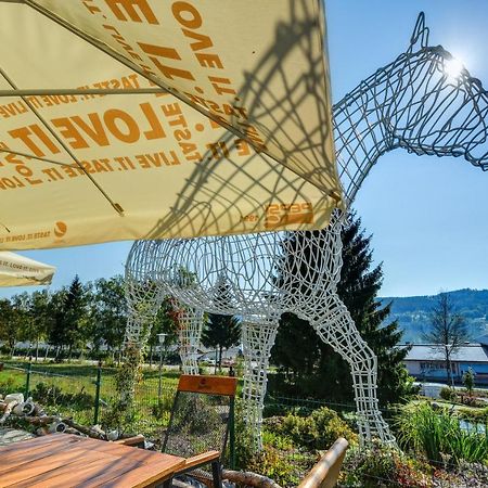 Hotel Star Lipno 伏尔塔瓦河畔利普诺 外观 照片