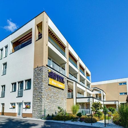 Hotel Star Lipno 伏尔塔瓦河畔利普诺 外观 照片