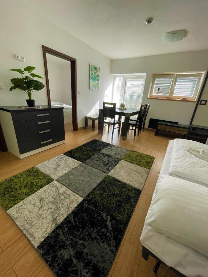 Hotel Star Lipno 伏尔塔瓦河畔利普诺 外观 照片