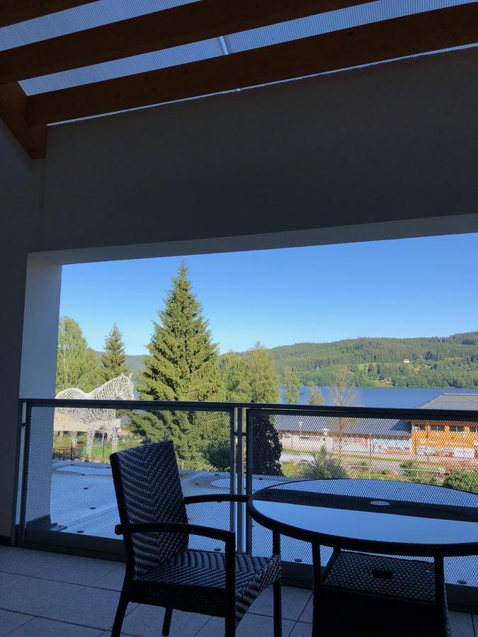 Hotel Star Lipno 伏尔塔瓦河畔利普诺 外观 照片