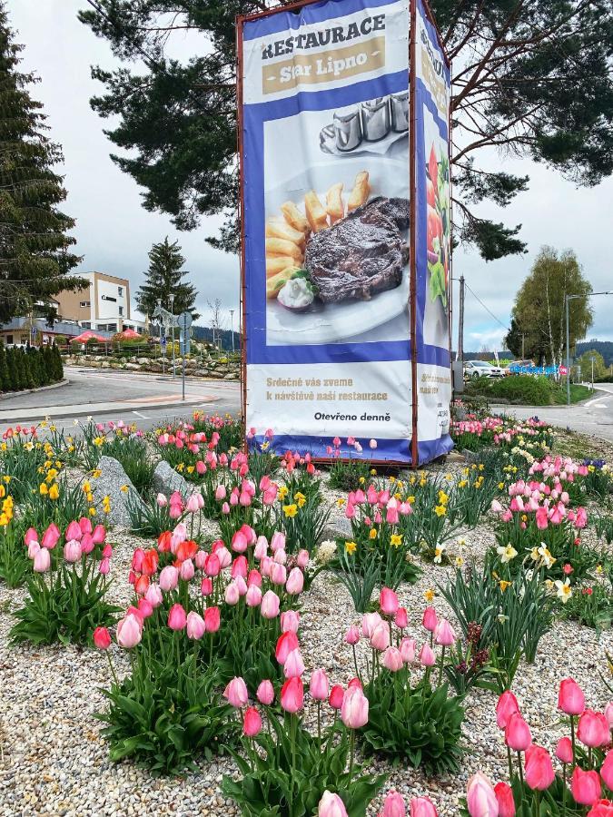 Hotel Star Lipno 伏尔塔瓦河畔利普诺 外观 照片